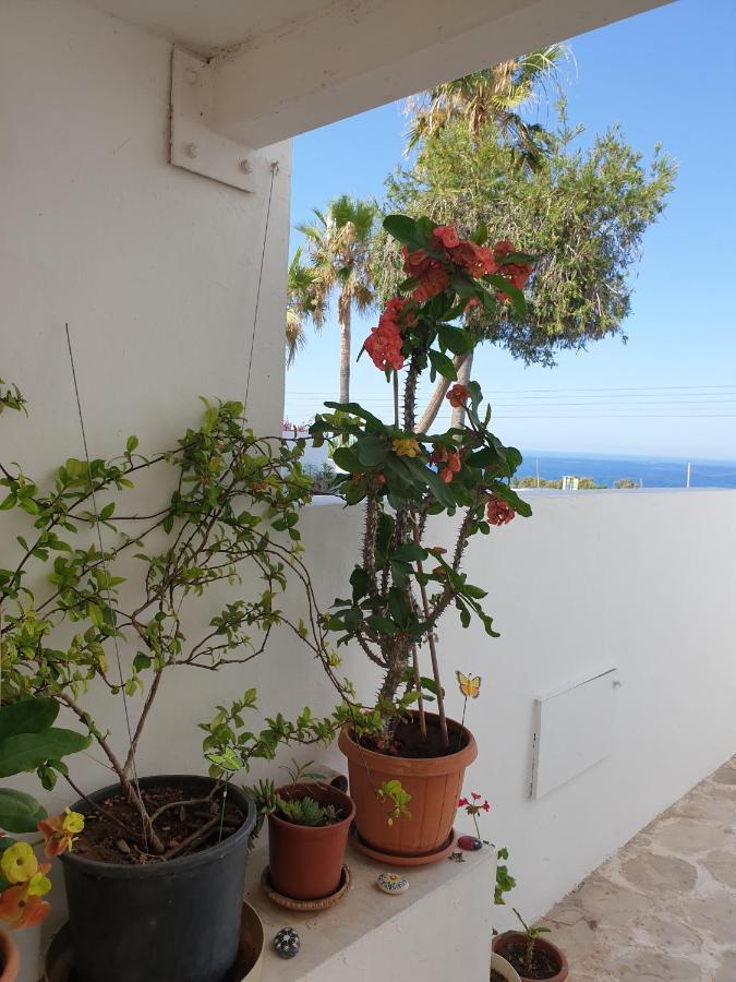 Ikaria Village-Ground Floor Apartment No 4 Klorakas Buitenkant foto