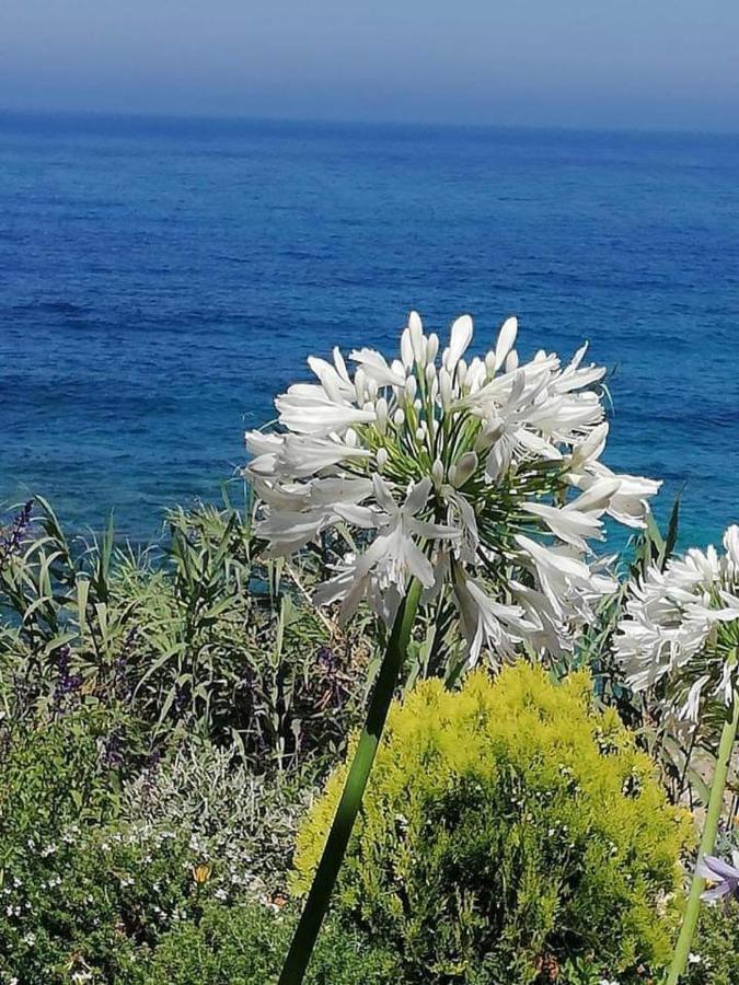 Ikaria Village-Ground Floor Apartment No 4 Klorakas Buitenkant foto