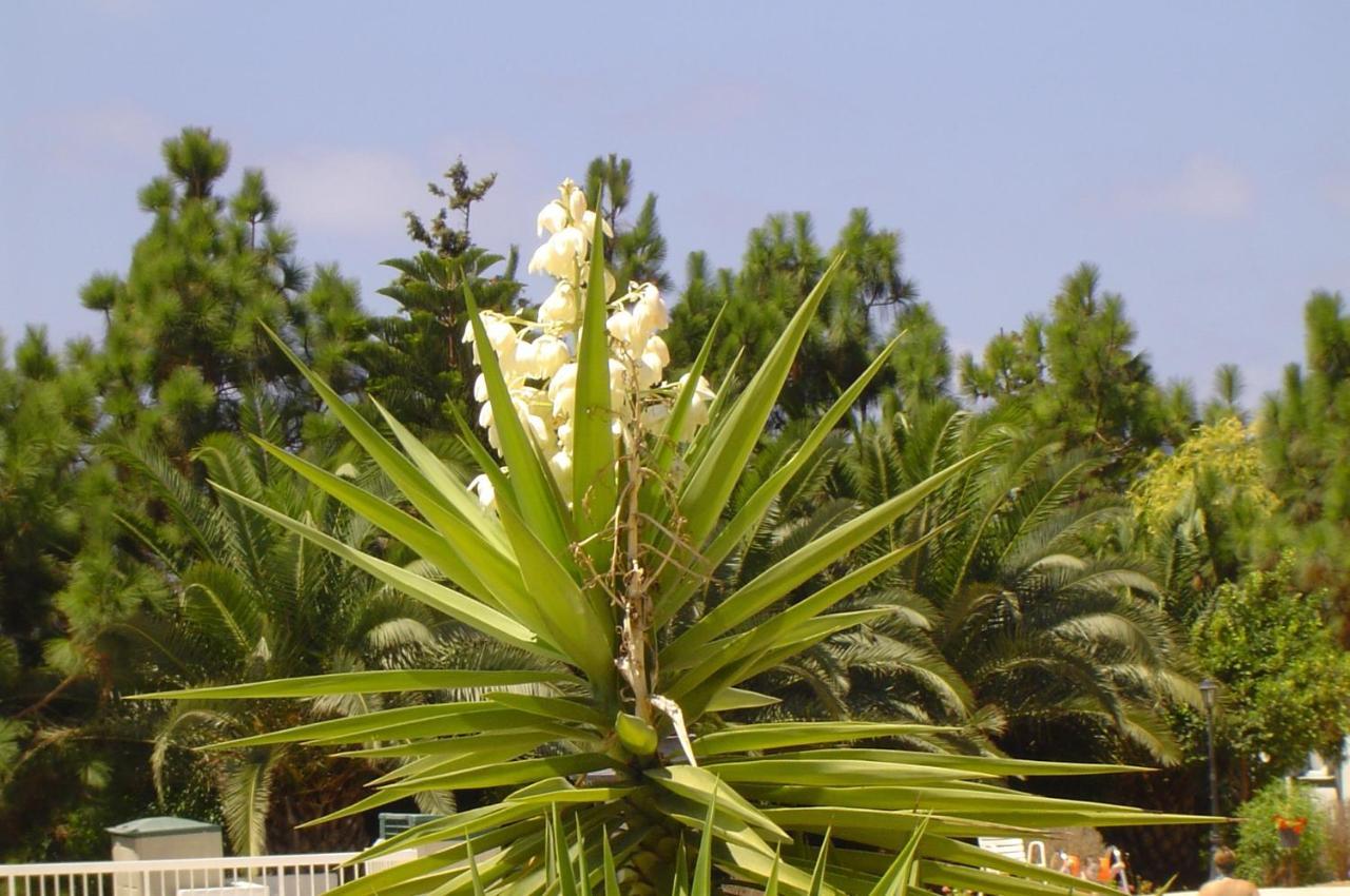 Ikaria Village-Ground Floor Apartment No 4 Klorakas Buitenkant foto